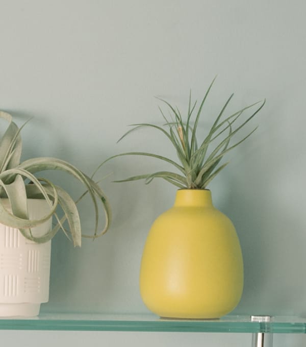 interior-designer-28